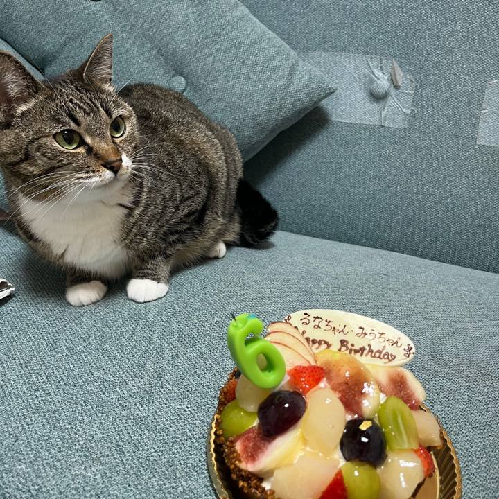 9321b6b8 b864 44df a86b 0248aa7a08a4 1694179489294