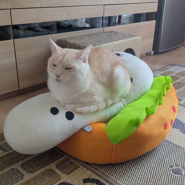 9321c48c 913b 4a57 a4d0 7155af36b35f 1758586784652