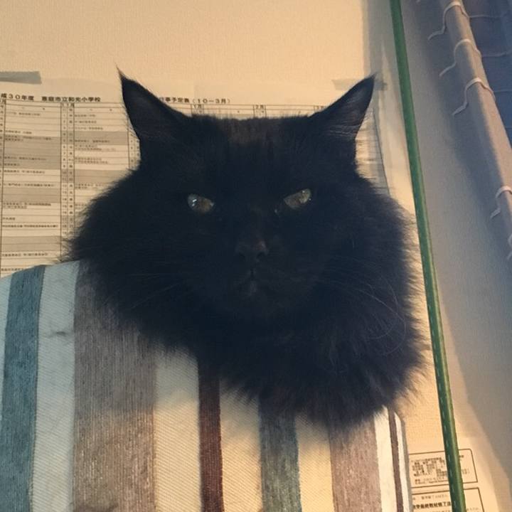 9321ca91 e6c2 4683 9339 0672459f1d44 1543216197757