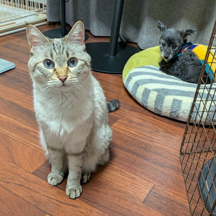 9321d306 48d4 42b1 bb01 75e38b46e5f6 1771325928605