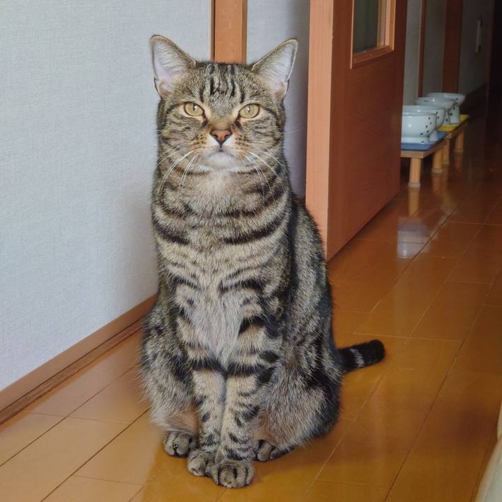 93220663 cb10 44cd 8691 f3c9190af17c 1643425796573