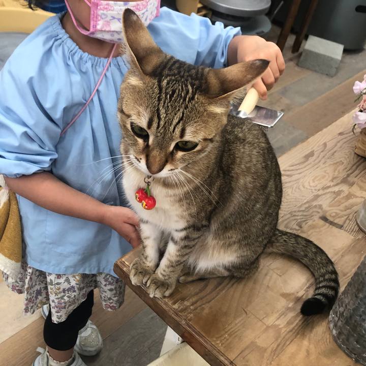 93220c94 b959 4a82 920f c26547d251cc 1647413422358