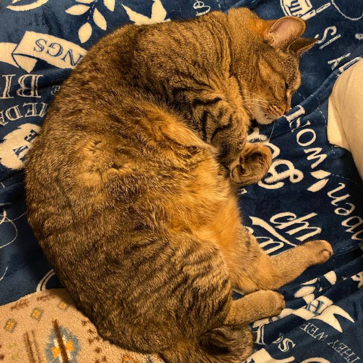 93221e62 3337 47c8 b4be cfc35c2f35e1 1727565170743