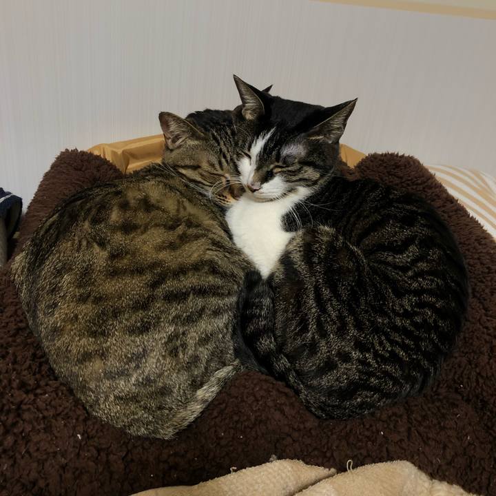 93222744 f1e3 4510 bf3c 51d9b87789fd 1612211860034