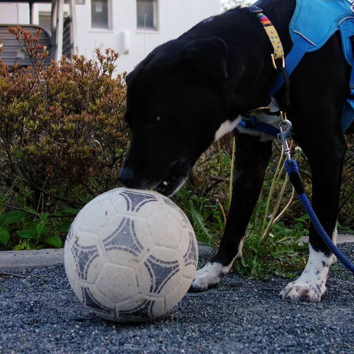 9322802b 9134 4a66 a4b9 86073b26c4e2 1619089718689