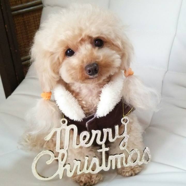 93228fd0 7cf9 44dc 9c9d f95229e34fac 1543535177887