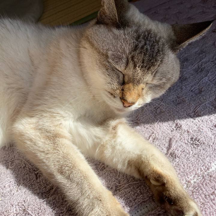 9322f1dd 9040 4c3d ba88 0091397ea629 1601254003049