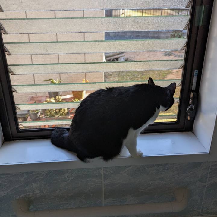 932308a9 2d3d 4126 ae08 32f187e54efe 1737186541479