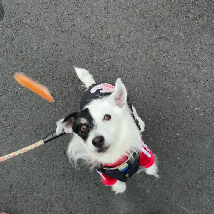 9323ecc6 9170 443c 9f91 f1acd36621fb 1770424208597