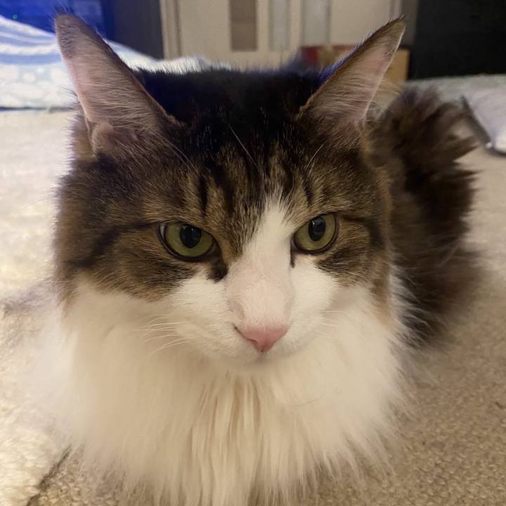 93240a39 d05f 466c ae67 01bcacfa9a5b 1692497053303