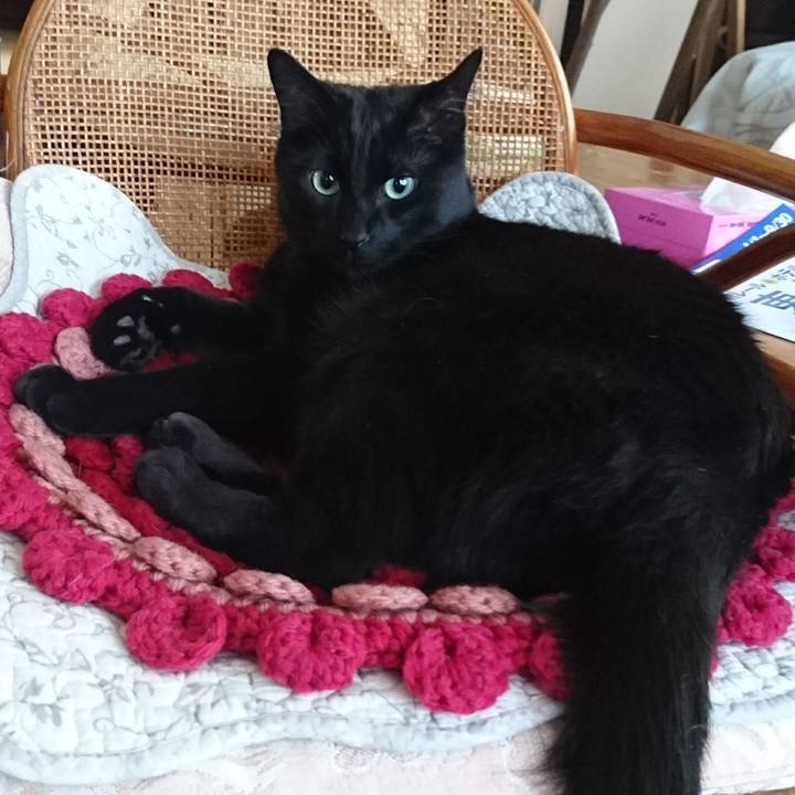 93245992 a07e 43cd a9a1 e193537a2b5a 1556593322067