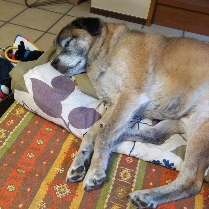 93245d09 45f2 45a8 919b ed42694b090d 1566856506417