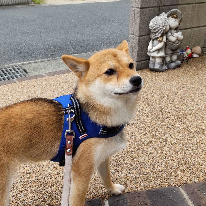 932498a9 5cc4 416e be9a ea9a655fe4b4 1626072144085