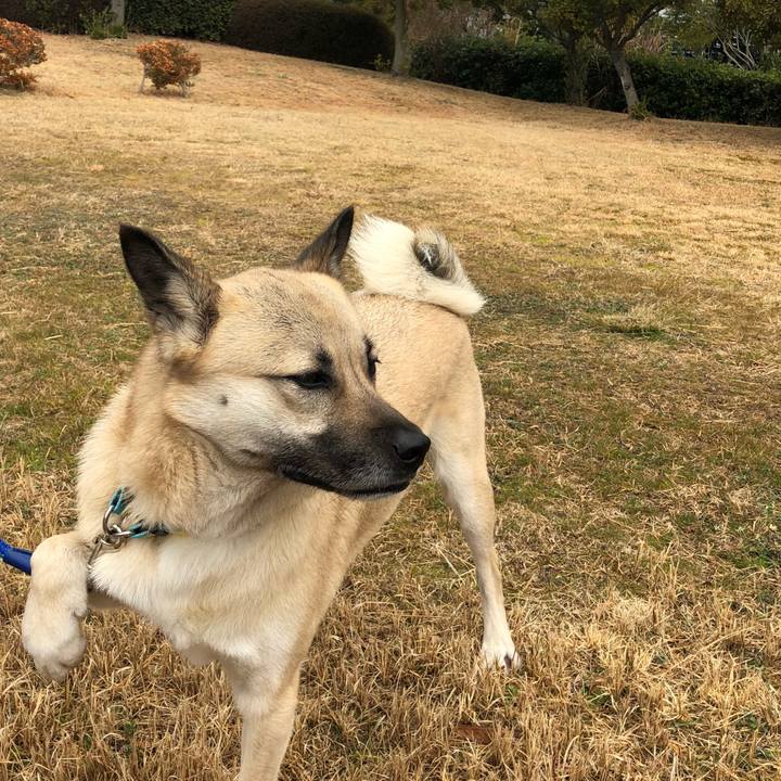 9324c684 4e5c 470e 88c6 700af06c0fc1 1549165874447