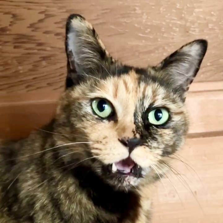 9324d1ce a3fd 416c 814e a7fbc19fb8ec 1731814276354