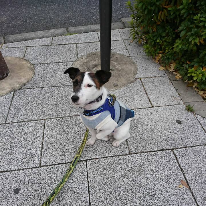 93252fc8 6bd3 4642 8cb9 1d2988f3f0dd 1514067165320