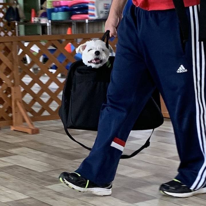 932534ce 9a86 491e 918e c750458a1a72 1596327035558