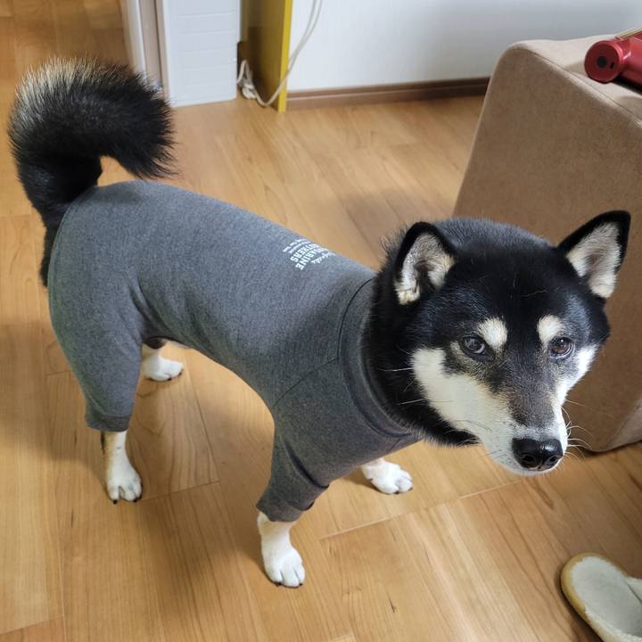 932553db b564 4c5e a3a3 88b859020a05 1765852263509