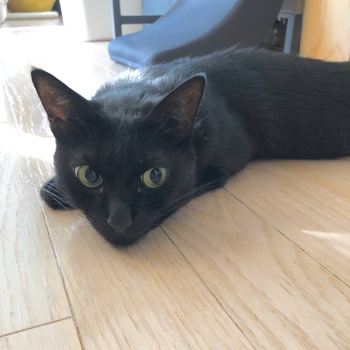 932555a0 2fb8 4c56 83ef bedb0eb0e5c7 1597447927229