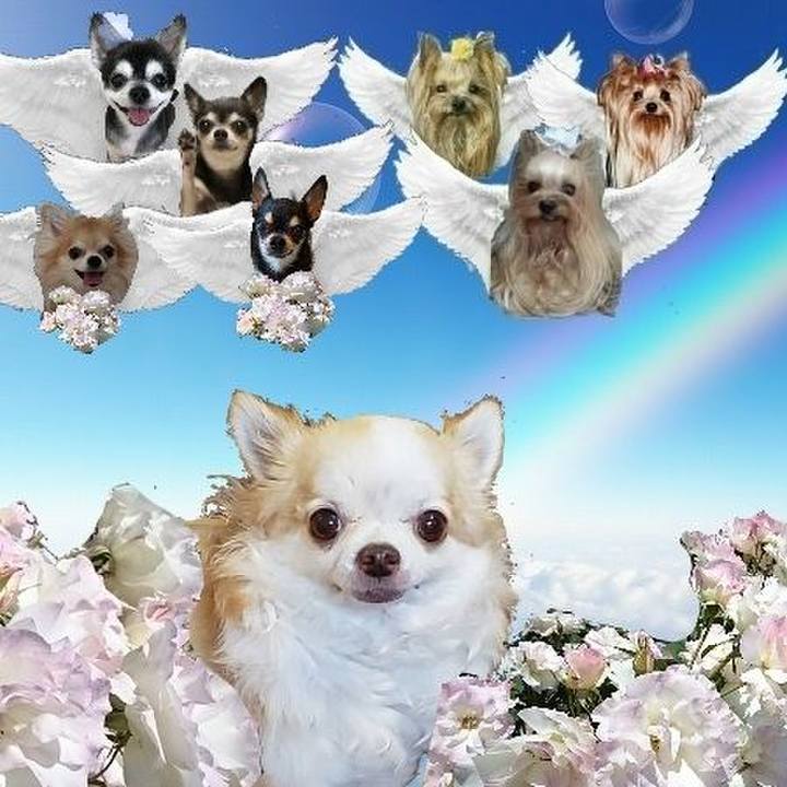 932591be fecb 4ba7 bed3 4af147689838 1718626741424