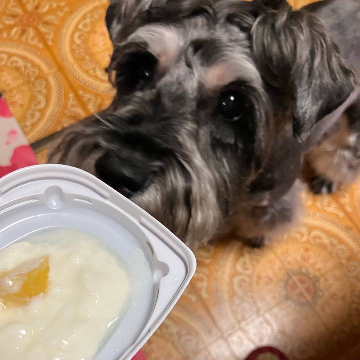 932593b3 fa93 4896 8d32 49f63b7c0e6b 1726618637909