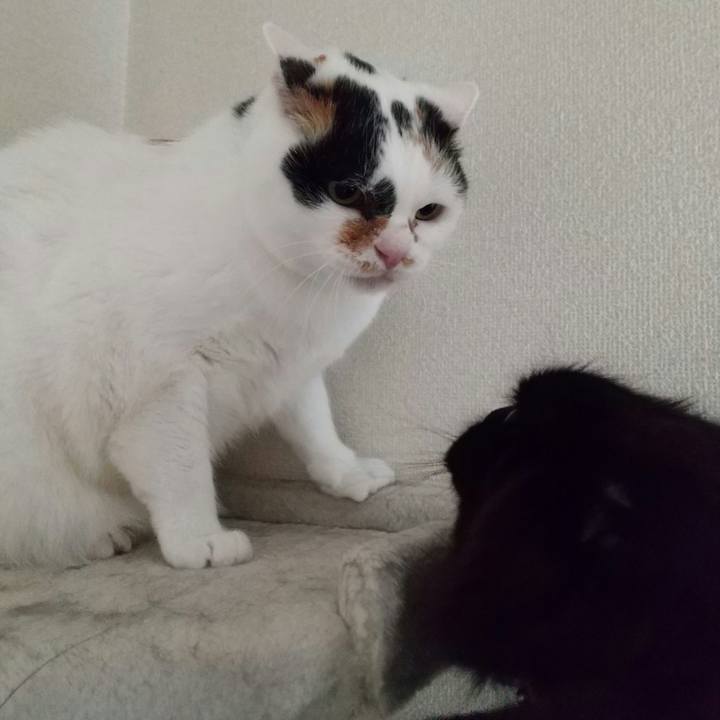 9325ae9d a667 4a25 a0ea a3f421735167 1681277493125