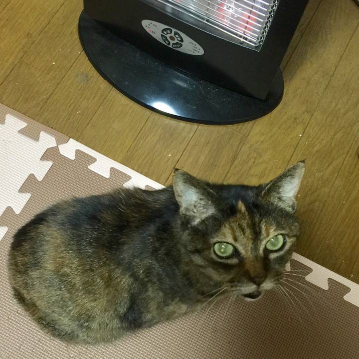 9325b3fd 8801 4463 a510 bb0fd2c8864c 1580287595486