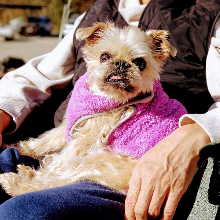 9325c5ff 905b 4716 a81f d37e6140d4ee 1739581801397