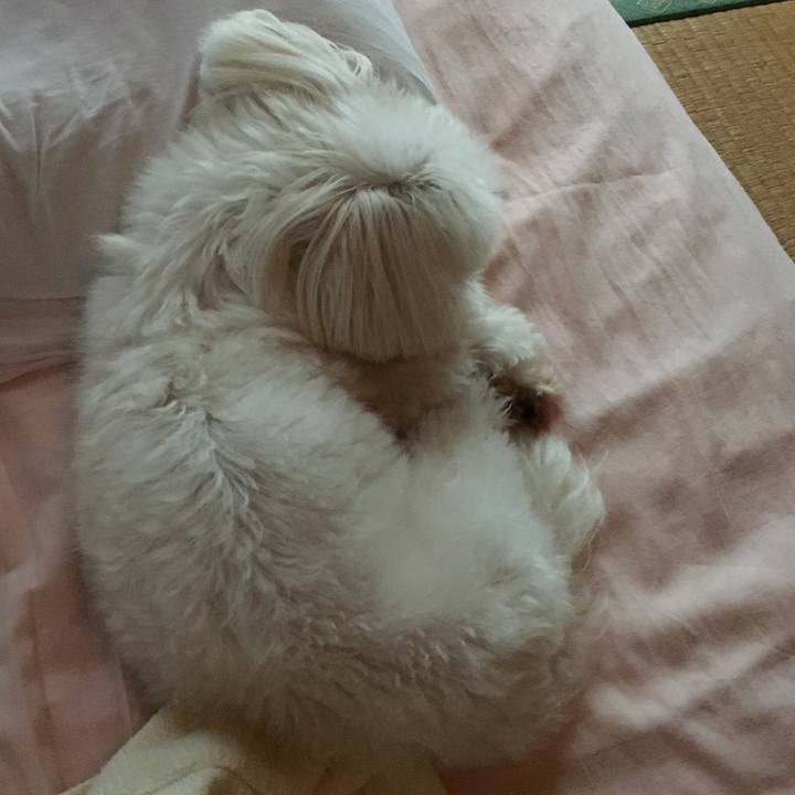 9325d6b5 8ccb 4350 a214 1d479f3da297 1599879723265