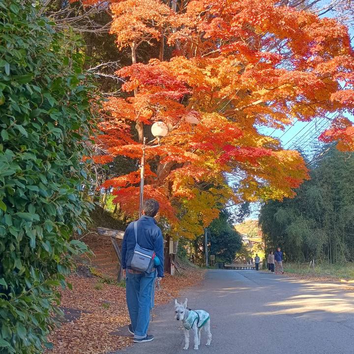 932632d9 c068 410d b26f 7345cff5af26 1763210503644