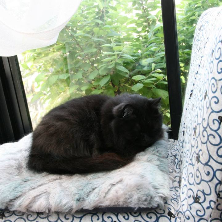 9326458e d856 4de5 8278 b38b5948528d 1650947352755