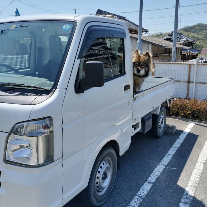 93266903 0e27 4ef2 859d 8d550388fb37 1681021066644