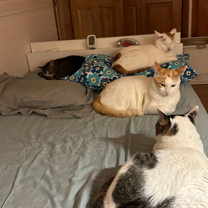 932690e0 c27a 44e6 8f85 0c3851ddc5a1 1681480748228