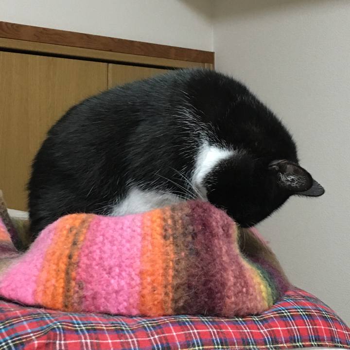 9326a833 d21c 4ebd 89ba 7bb529fe76e6 1512905028093