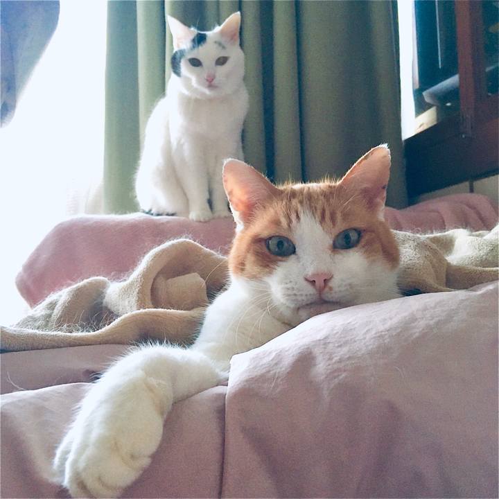 9326be48 8716 4200 9e83 8306b4dfa31f 1609406211686