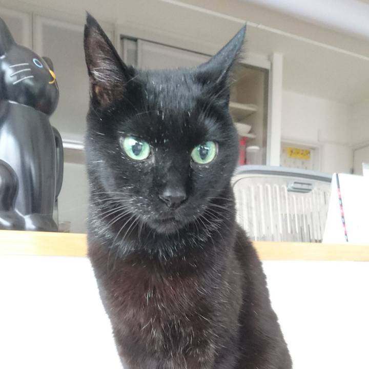 9326ca29 eeb9 441b bfff ef04186641c5 1525774672037