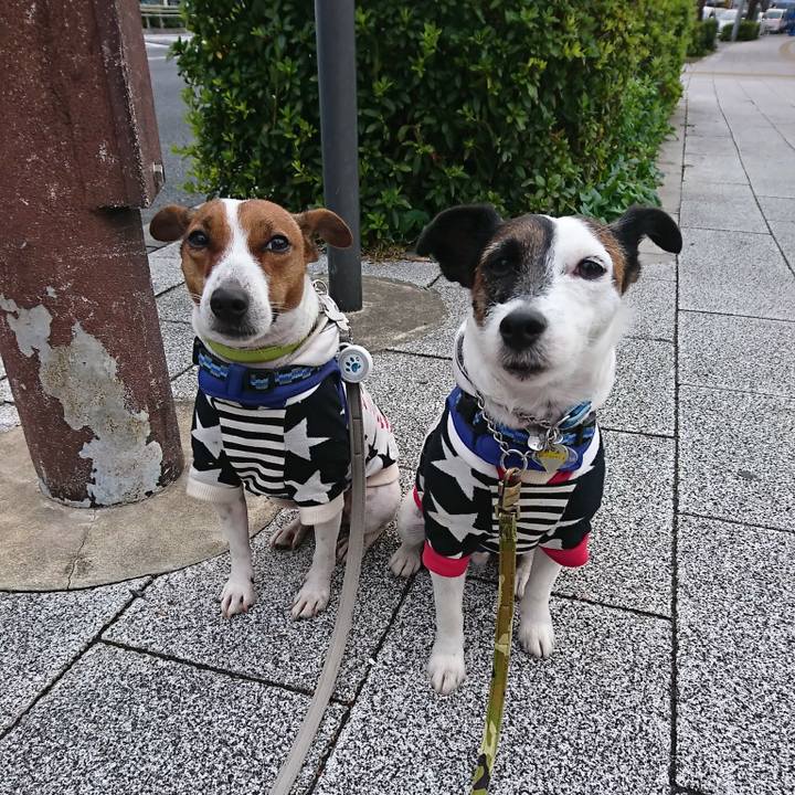 932733c1 8e7b 4499 a132 9a2cad2b5d3d 1574376436980