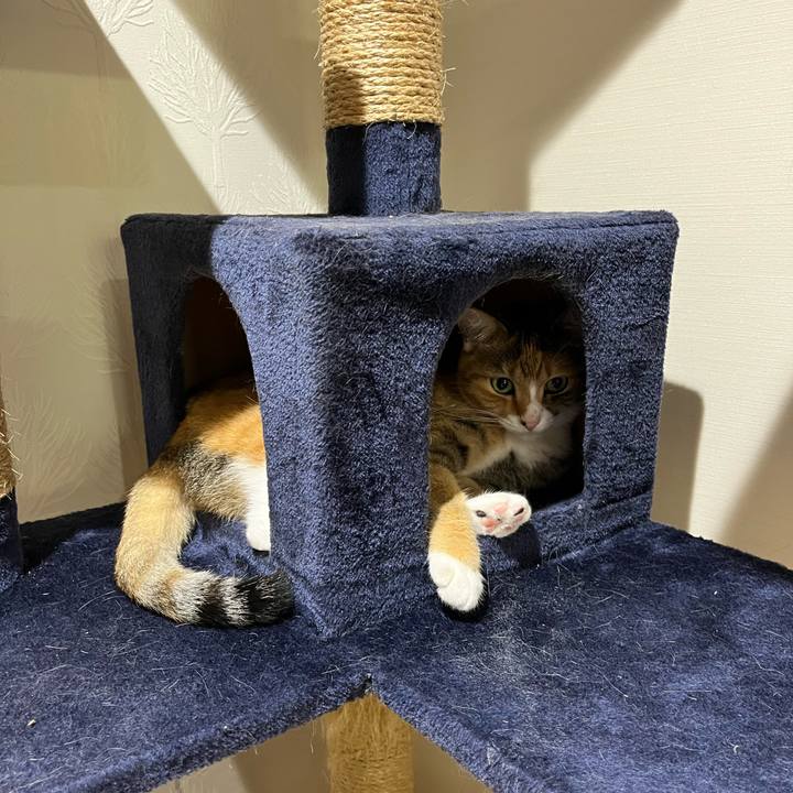 93276853 9590 43a7 88e4 579344fb2195 1727954013864