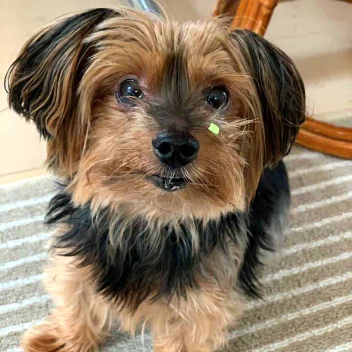 9327ab6c bfeb 4e5b bea0 14b63bd6563b 1592366230407