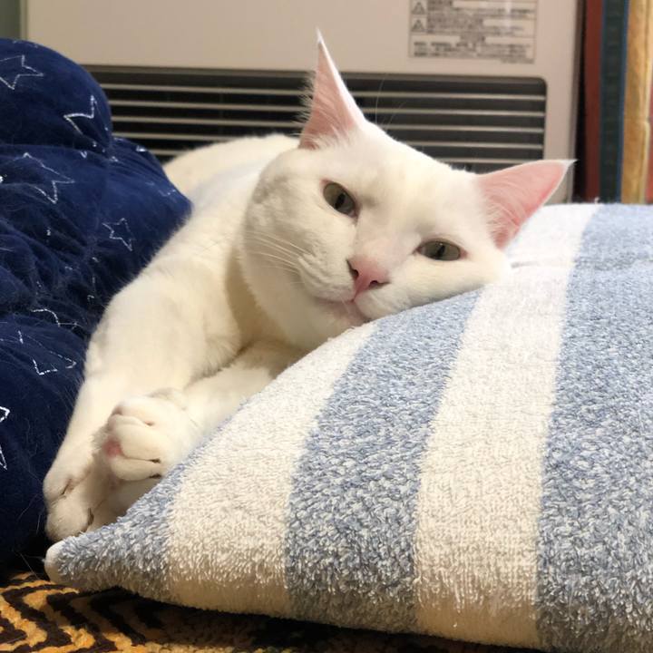 9327deac 7f46 4c50 9ec7 6ad78522700e 1555232928459