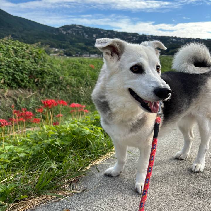 93280a89 bc4d 4ec8 a957 35ab52776092 1759021574155