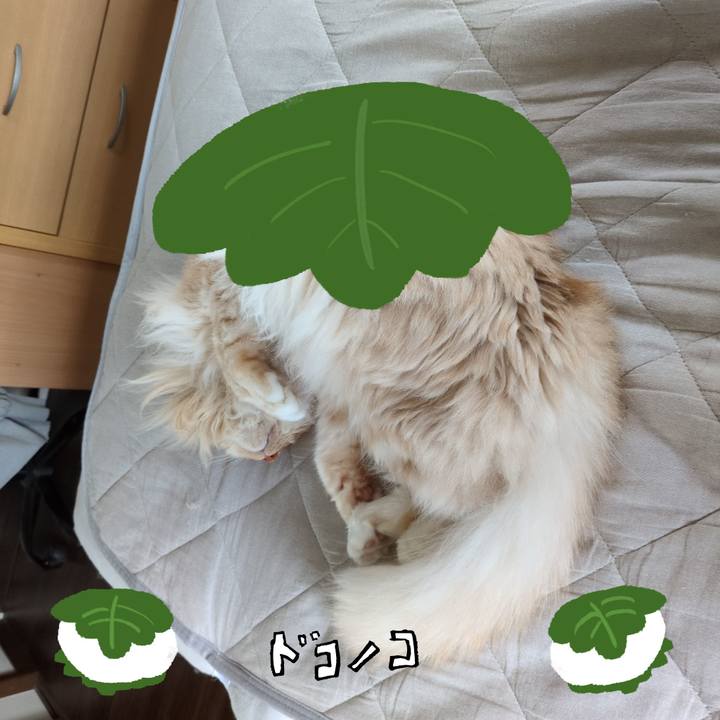 9328555d 4cc8 4b51 8388 8a5b0ac27b04 1749344930608