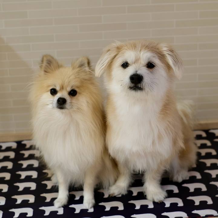 9328916e 3bf4 4ca3 9383 dd6e9d917469 1762811464580