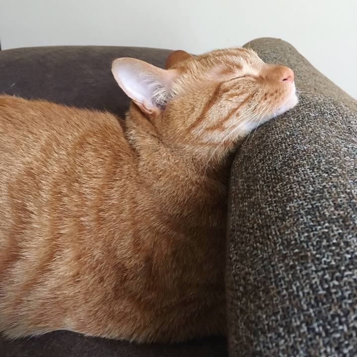 9328c06c 02c2 4eb9 9230 ee6ad3da7427 1526117472469