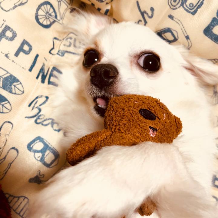 9329267d 0856 469d b627 916124dc0890 1528792596580