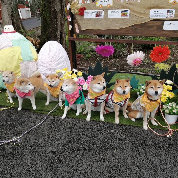 93292870 a116 4e42 9c96 e456eabb261f 1650110586807