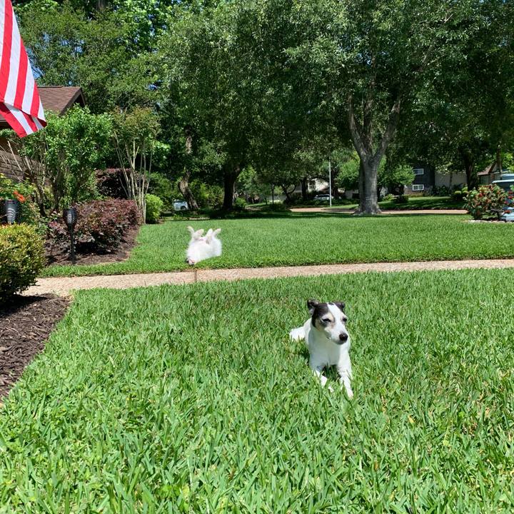 93294119 c99c 4e1d 90c7 d5d191fd183a 1587854443053