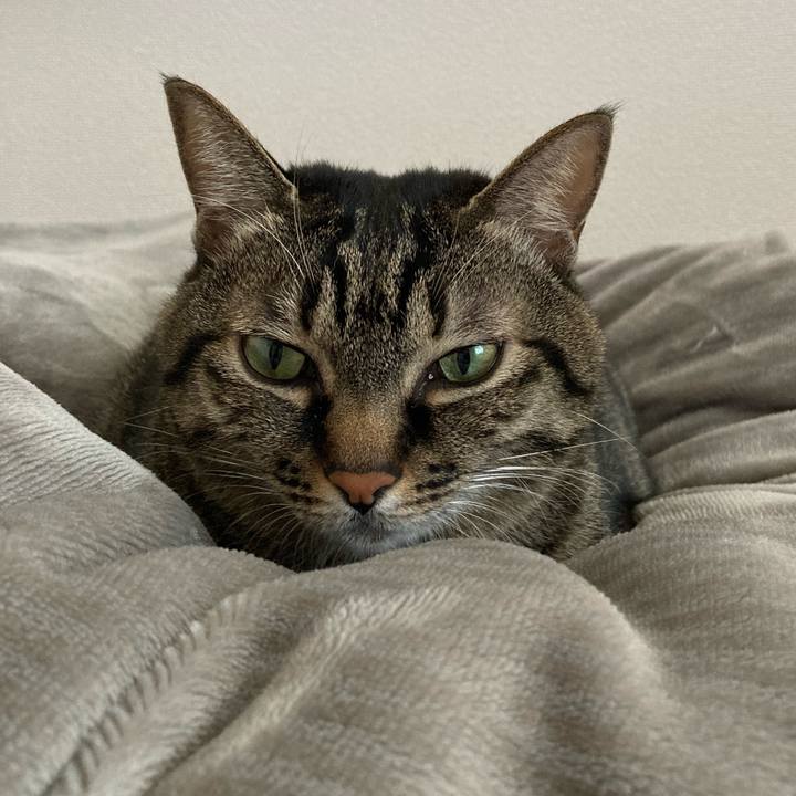 932977ac ddd3 440e a787 e08b6b30f7c9 1606008992404