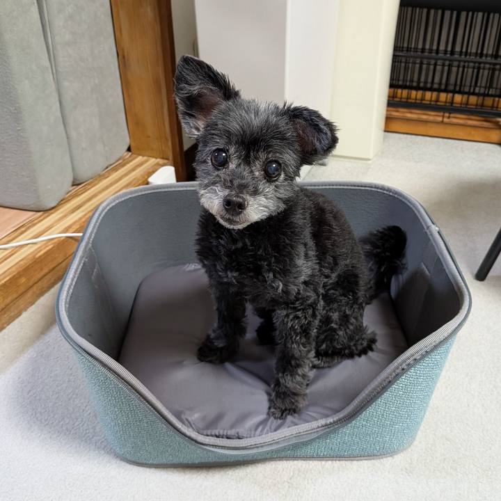 932987ae 1661 4771 a5b8 3368148b2808 1747219294787