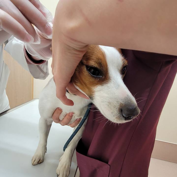 93298927 c42c 4b5a b4ee 71eb5971142a 1707281197091